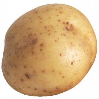 Beeld: Potatojustice