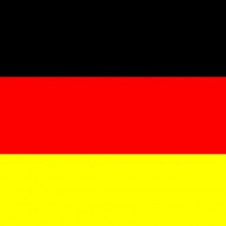 Vlag van Duitsland (beeld: picaboo)