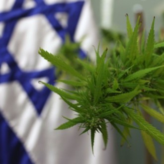 Cannabis in Israel (beeld: TOI)