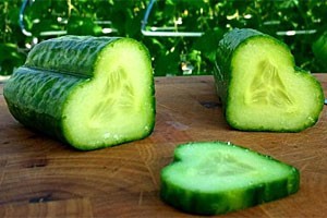 Hartvormige komkommer uit Israël