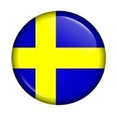 De Zweedse vlag