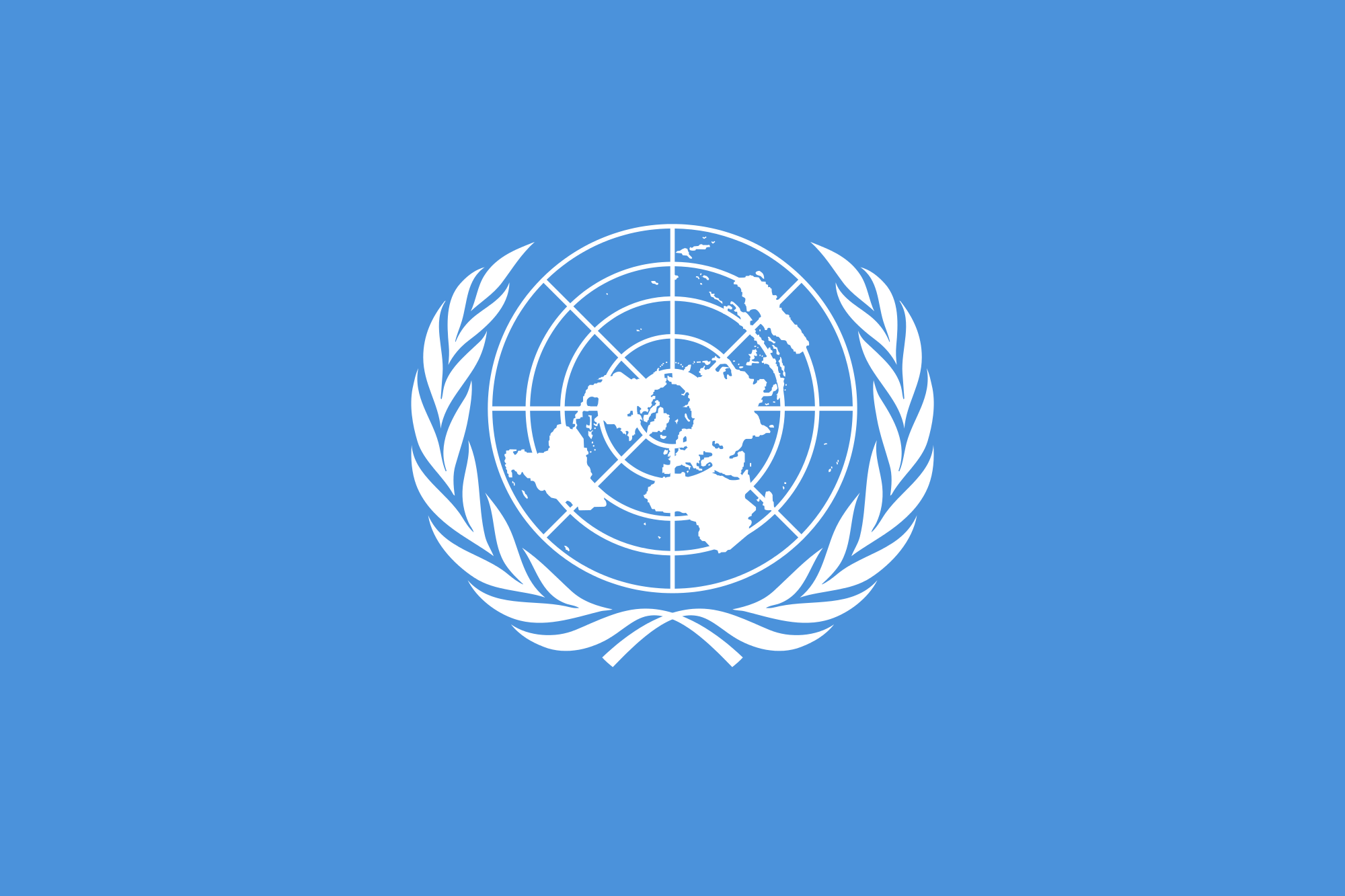 Vlag VN