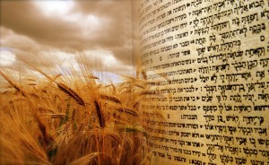 Joodse feestdagen: Sjawoeot