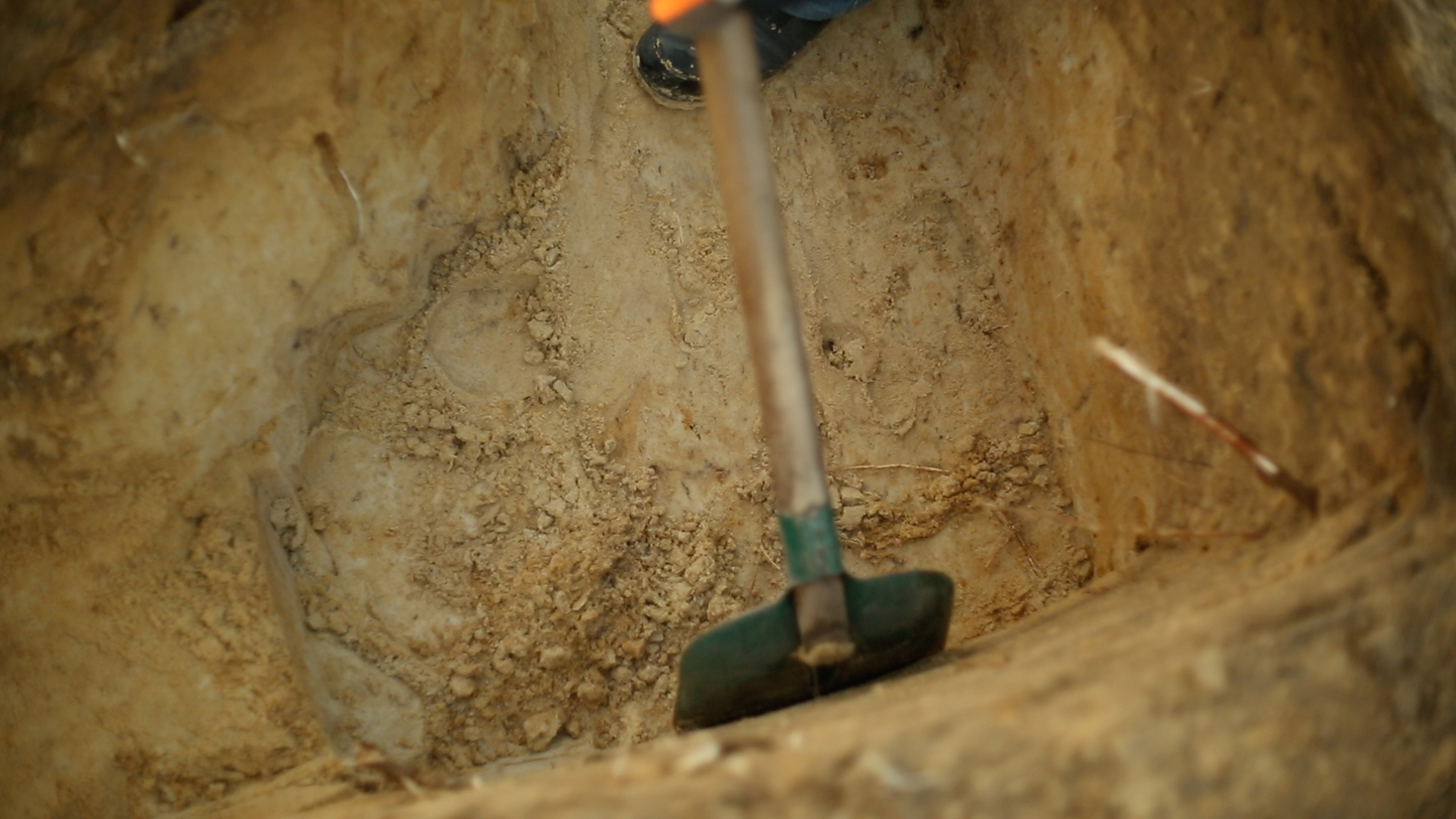 Excavating Sobibor