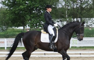 dressuur