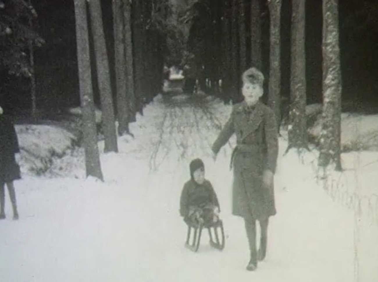 Kinderen spelen in de sneeuw