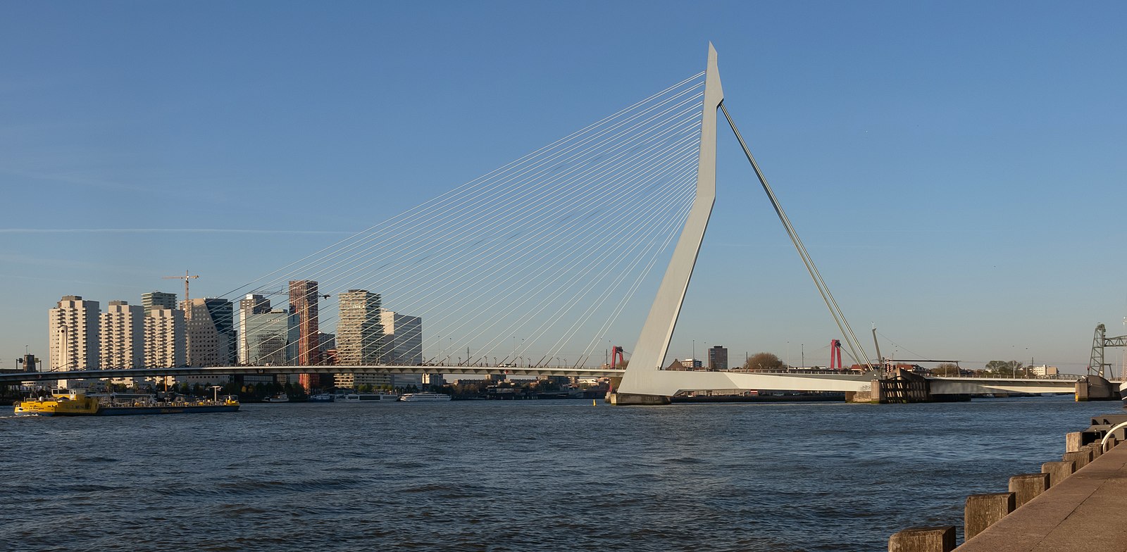 Zorgen over veiligheid Joden in Rotterdam